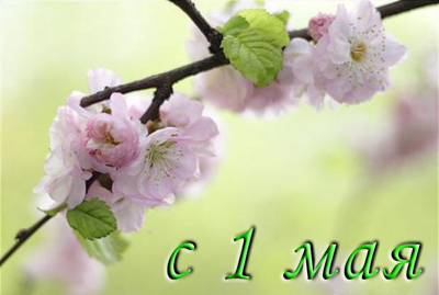 may1st-2
